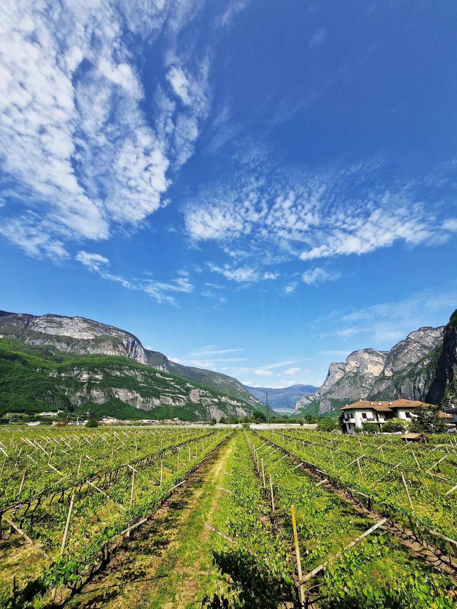 Farm stay Antico Fienile Agritur *