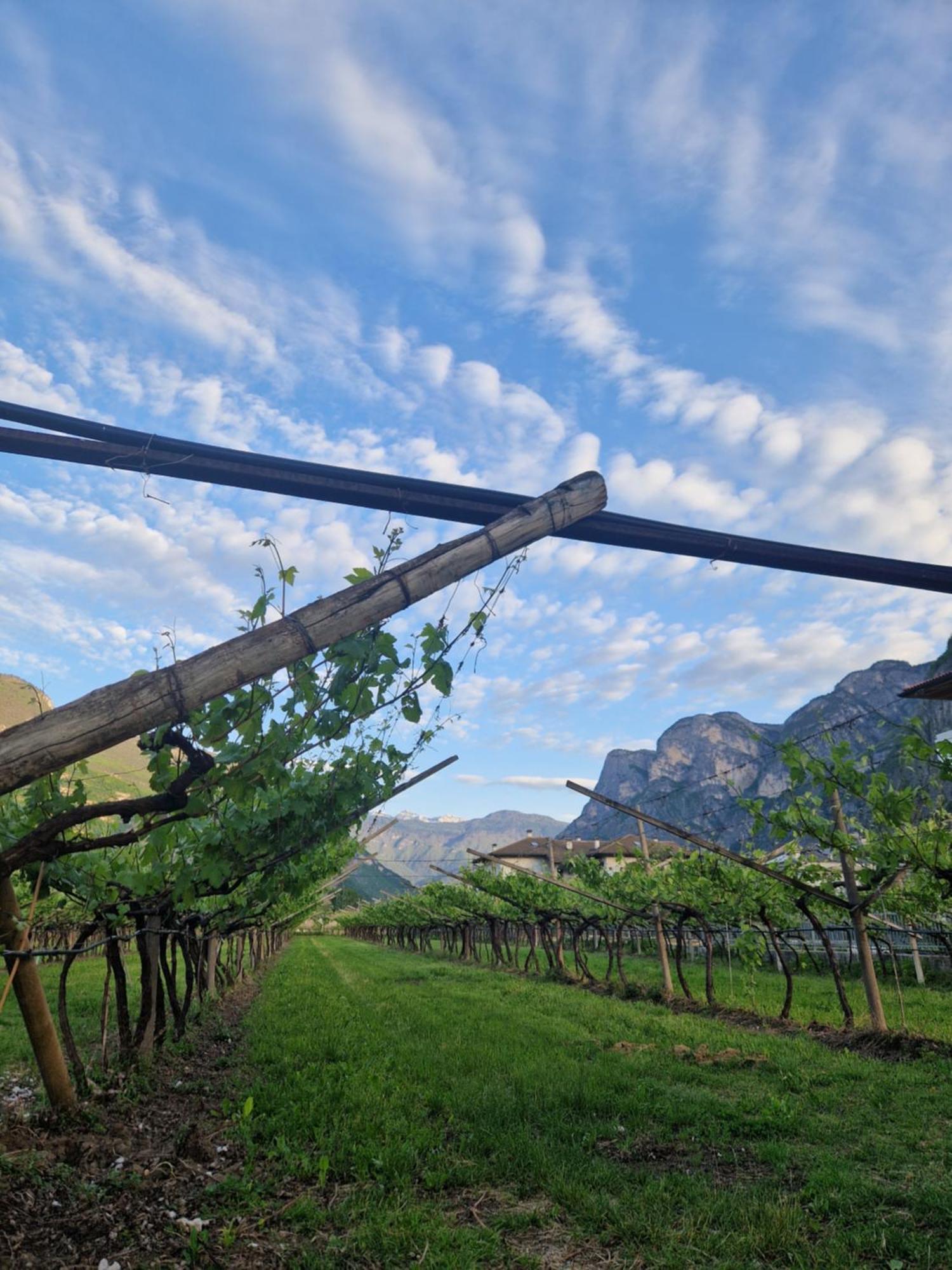 Antico Fienile Agritur * Mezzocorona