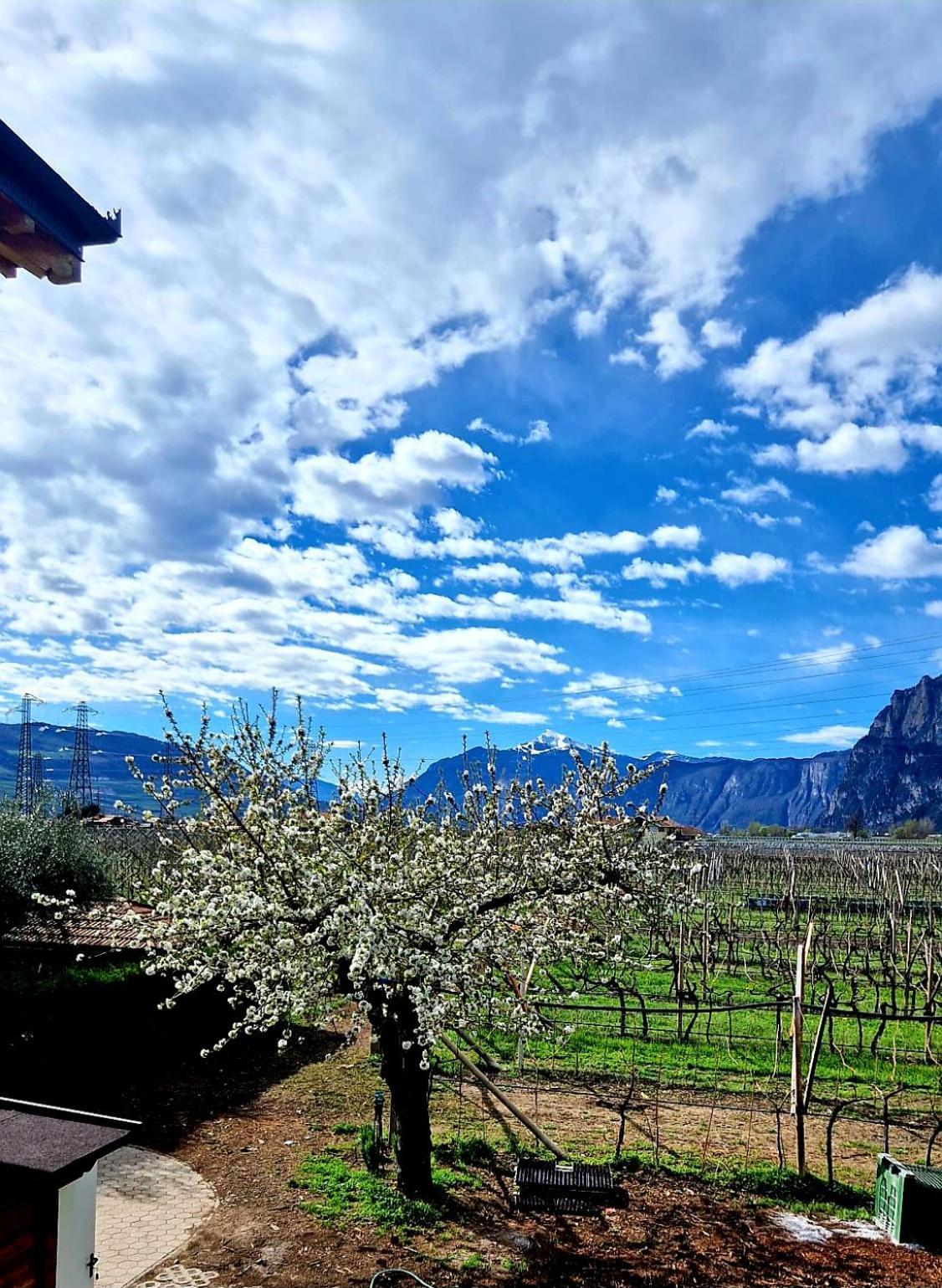 Farm stay Antico Fienile Agritur *